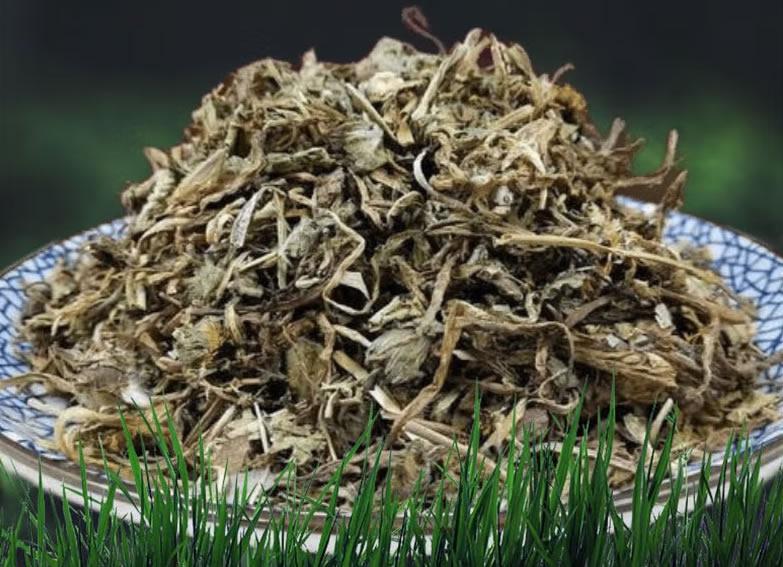 食味草精選蒲公英